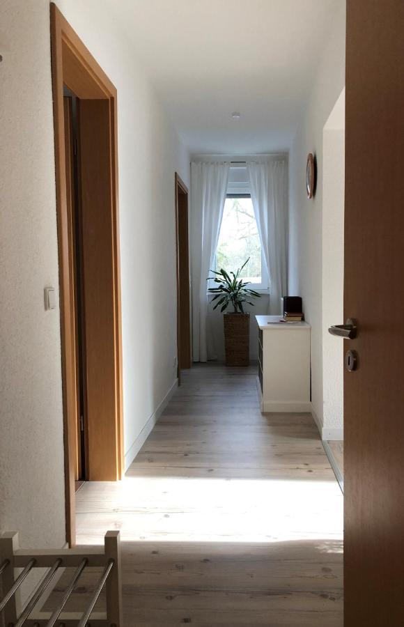 Schoene Ferienwohnung Am Rande Der Altstadt Wittenberg ภายนอก รูปภาพ